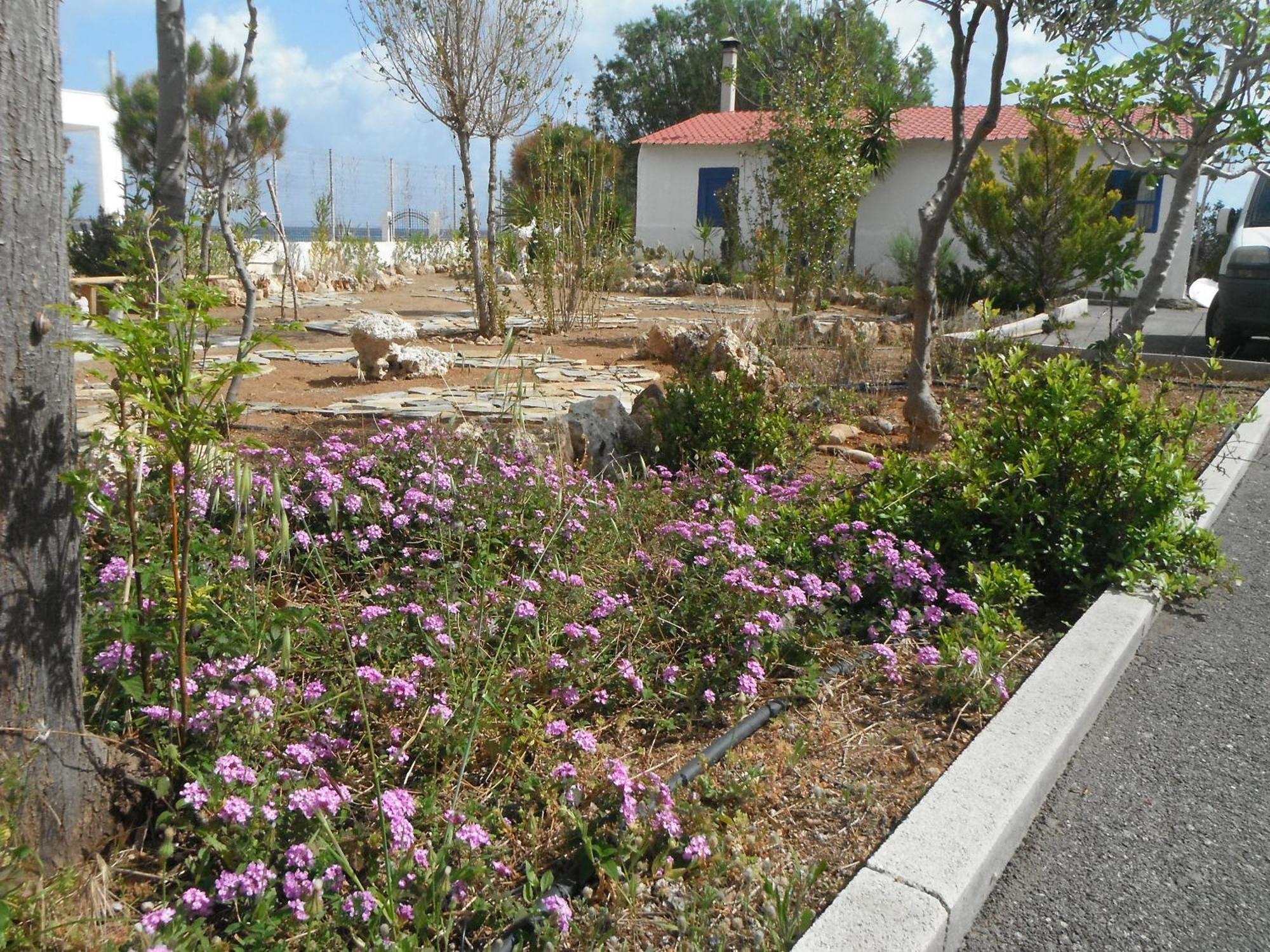 Mandorla Apartments Lardos Extérieur photo